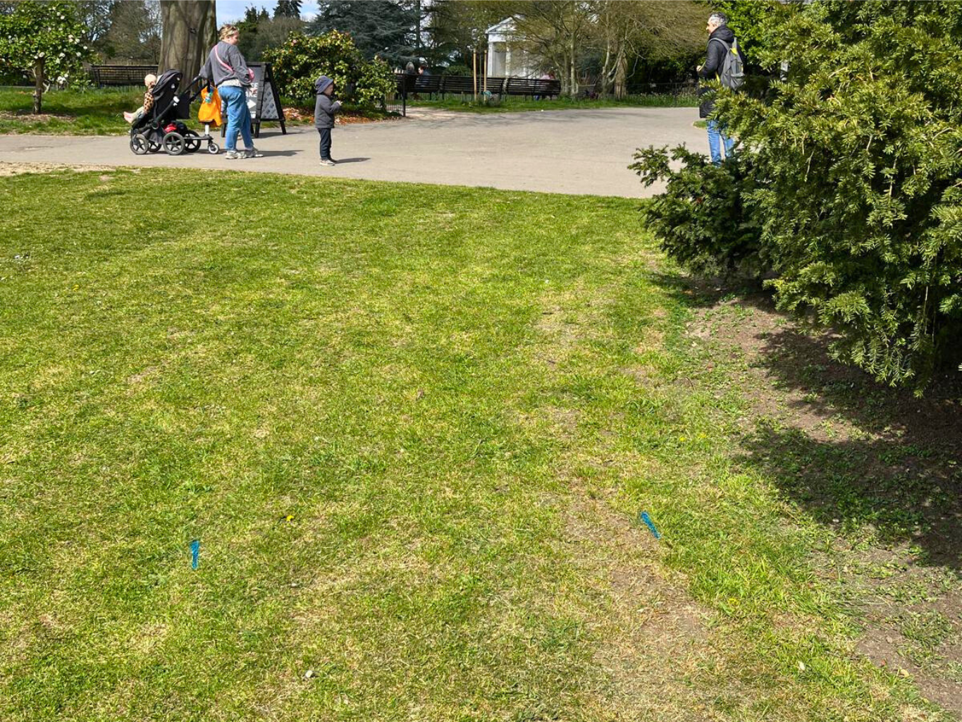 Untitled design (17)