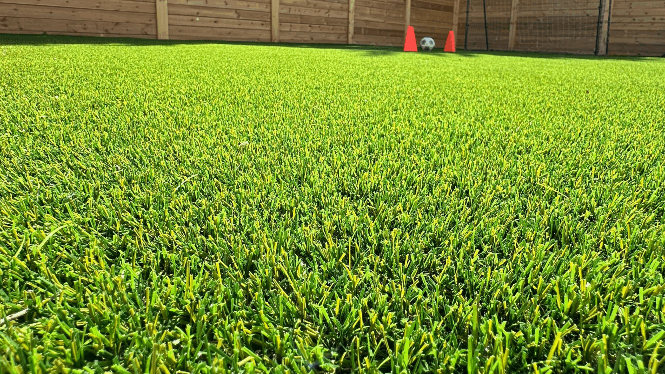 Untitled design (25)